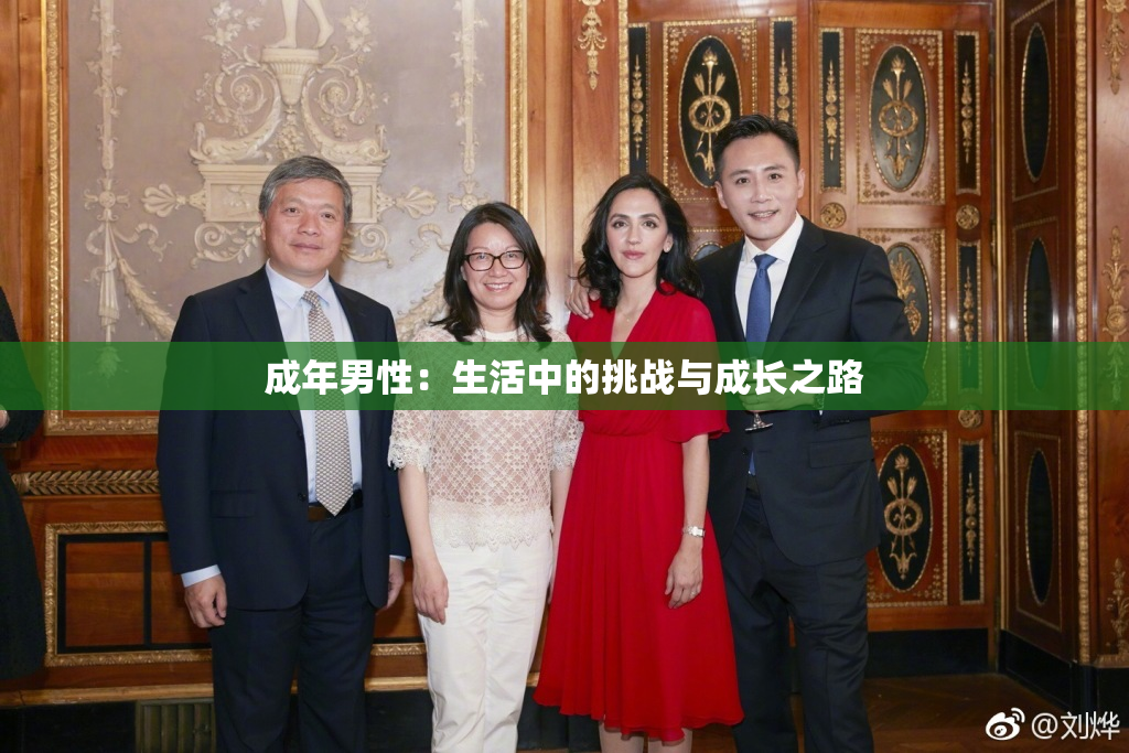 成年男性：生活中的挑战与成长之路