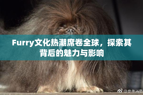 Furry文化热潮席卷全球，探索其背后的魅力与影响