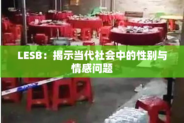 LESB：揭示当代社会中的性别与情感问题