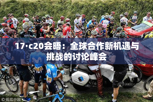 17·c20会晤：全球合作新机遇与挑战的讨论峰会