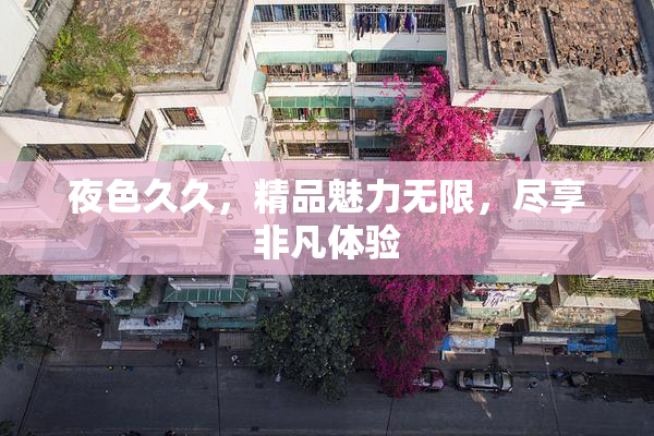 夜色久久，精品魅力无限，尽享非凡体验