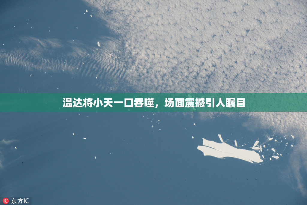 温达将小天一口吞噬，场面震撼引人瞩目