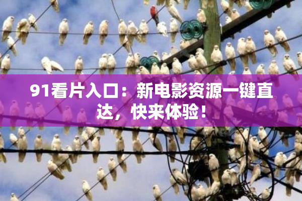 91看片入口：新电影资源一键直达，快来体验！