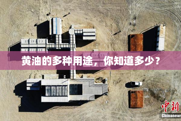 黄油的多种用途，你知道多少？