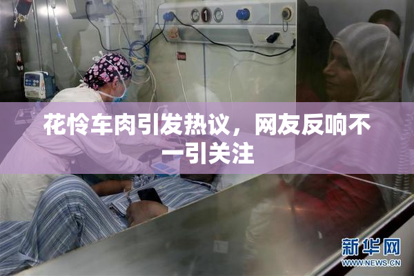 花怜车肉引发热议，网友反响不一引关注