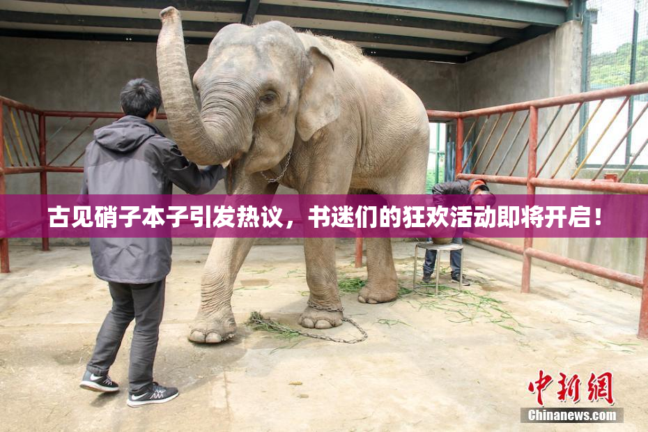 古见硝子本子引发热议，书迷们的狂欢活动即将开启！