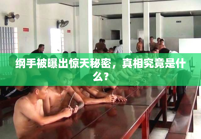 纲手被曝出惊天秘密，真相究竟是什么？