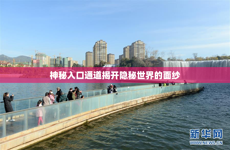 神秘入口通道揭开隐秘世界的面纱