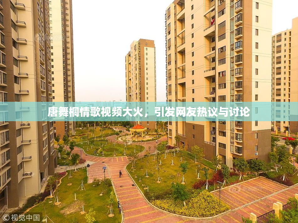 唐舞桐情歌视频大火，引发网友热议与讨论