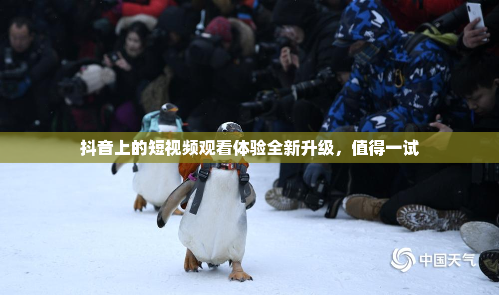 抖音上的短视频观看体验全新升级，值得一试