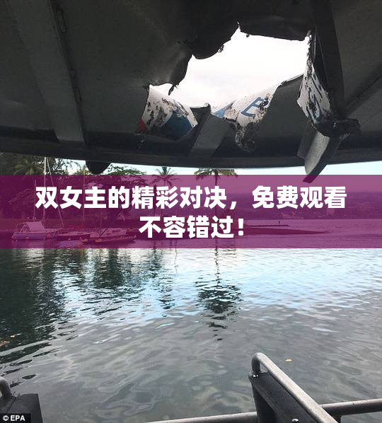 双女主的精彩对决，免费观看不容错过！