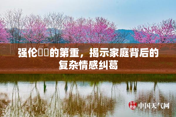 强伦妺妺的第重，揭示家庭背后的复杂情感纠葛