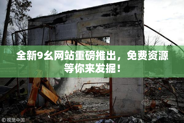 全新9幺网站重磅推出，免费资源等你来发掘！
