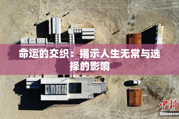 命运的交织：揭示人生无常与选择的影响