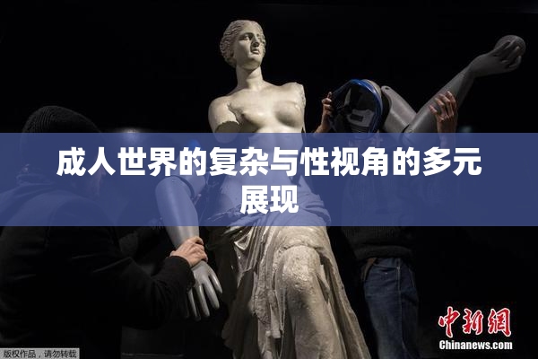 成人世界的复杂与性视角的多元展现