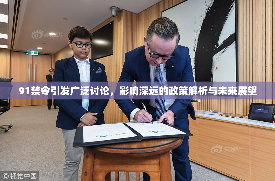 91禁令引发广泛讨论，影响深远的政策解析与未来展望