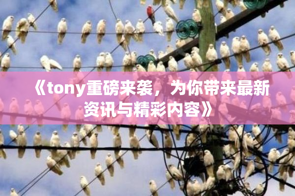 《tony重磅来袭，为你带来最新资讯与精彩内容》