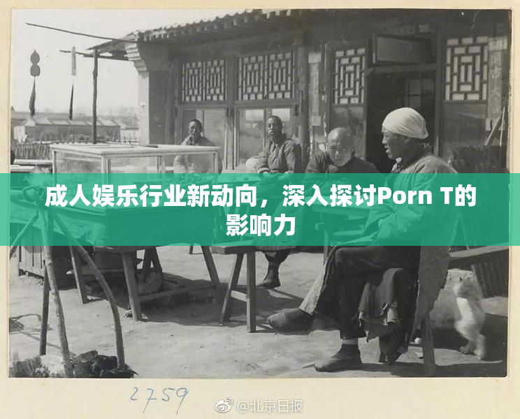 成人娱乐行业新动向，深入探讨Porn T的影响力