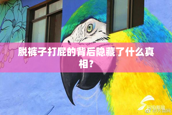 脱裤子打屁的背后隐藏了什么真相？