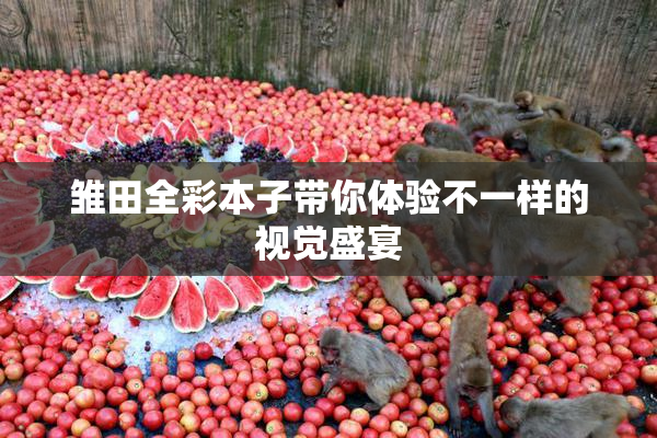 雏田全彩本子带你体验不一样的视觉盛宴
