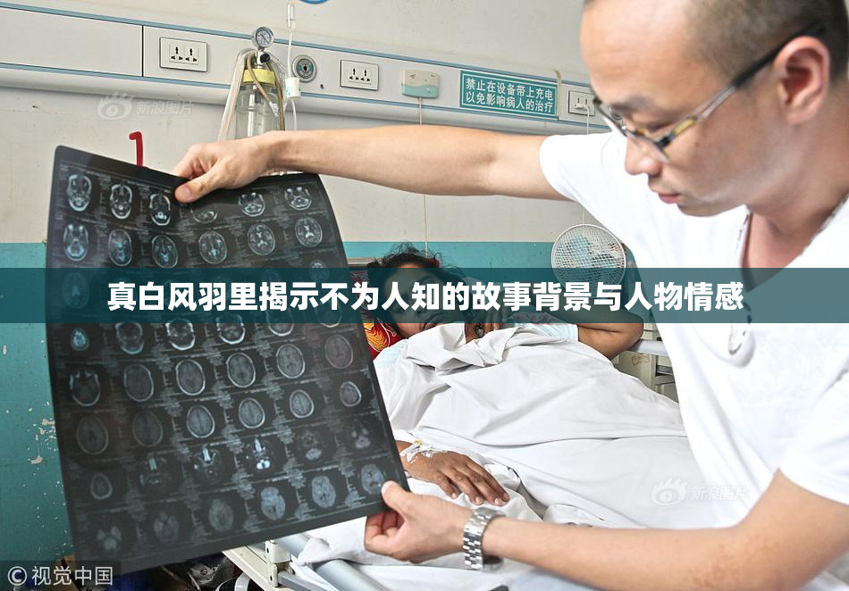 真白风羽里揭示不为人知的故事背景与人物情感