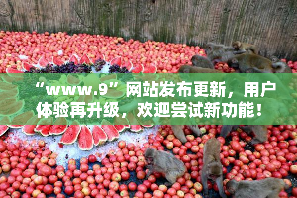 “www.9”网站发布更新，用户体验再升级，欢迎尝试新功能！