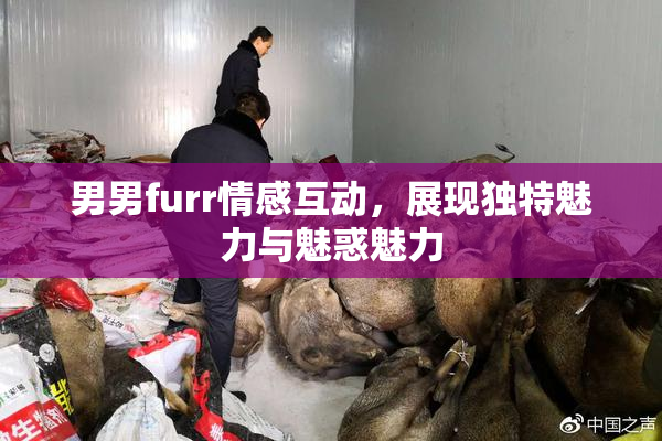 男男furr情感互动，展现独特魅力与魅惑魅力