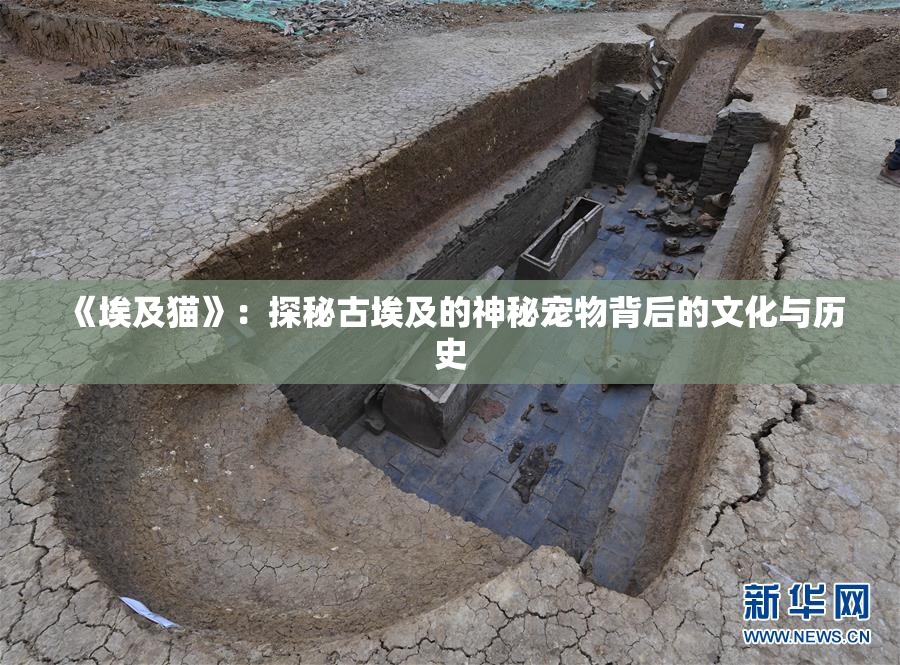 《埃及猫》：探秘古埃及的神秘宠物背后的文化与历史