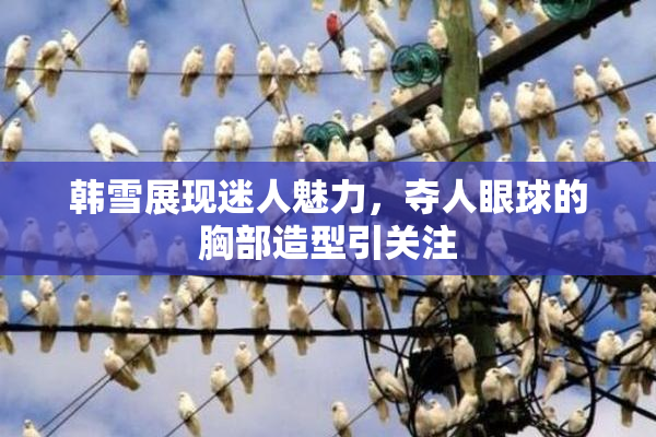 韩雪展现迷人魅力，夺人眼球的胸部造型引关注