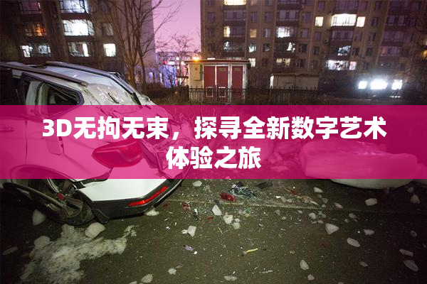 3D无拘无束，探寻全新数字艺术体验之旅