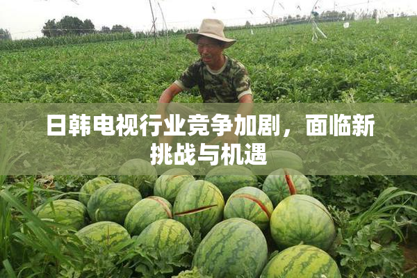 日韩电视行业竞争加剧，面临新挑战与机遇