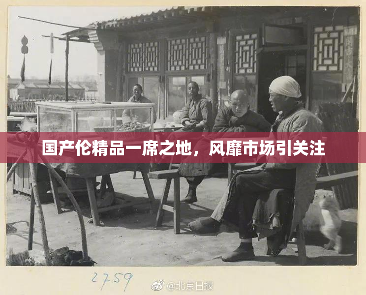 国产伦精品一席之地，风靡市场引关注