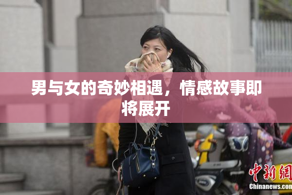 男与女的奇妙相遇，情感故事即将展开
