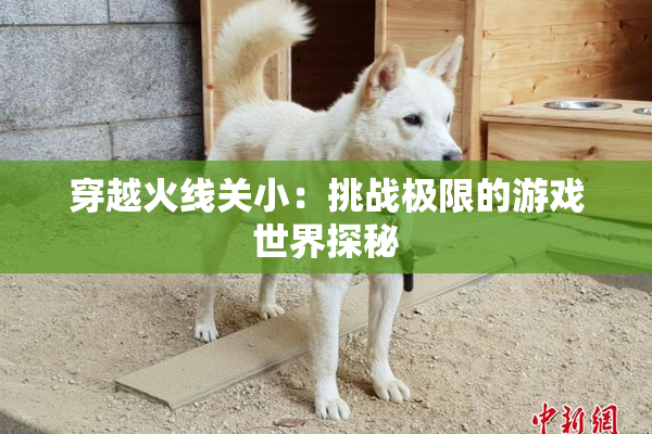 穿越火线关小：挑战极限的游戏世界探秘