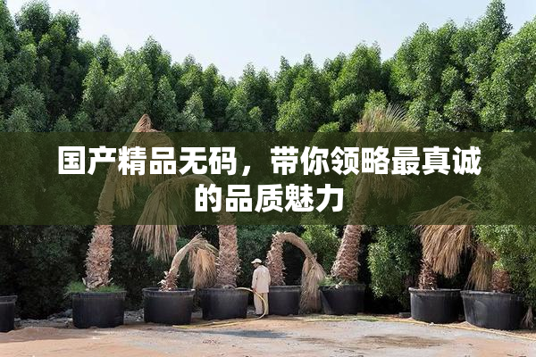 国产精品无码，带你领略最真诚的品质魅力