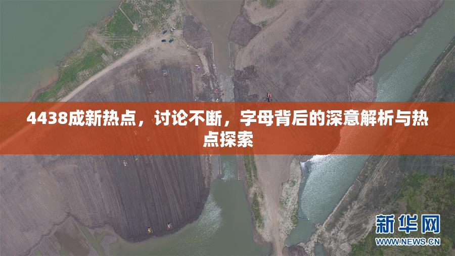 4438成新热点，讨论不断，字母背后的深意解析与热点探索