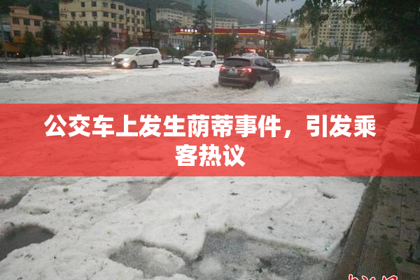 公交车上发生荫蒂事件，引发乘客热议