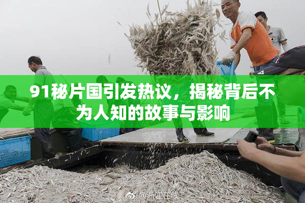 91秘片国引发热议，揭秘背后不为人知的故事与影响