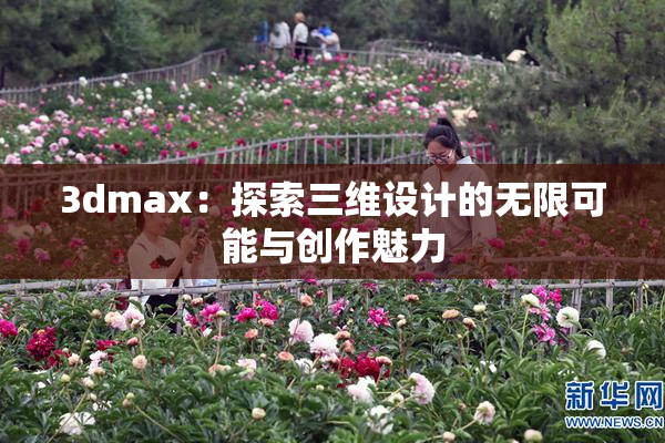 3dmax：探索三维设计的无限可能与创作魅力