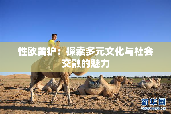 性欧美护：探索多元文化与社会交融的魅力