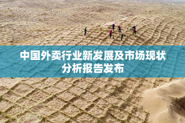 中国外卖行业新发展及市场现状分析报告发布