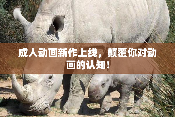 成人动画新作上线，颠覆你对动画的认知！