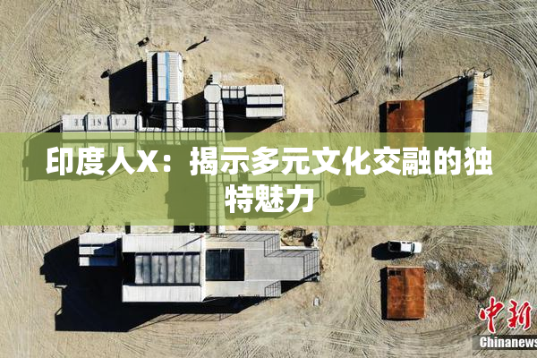 印度人X：揭示多元文化交融的独特魅力