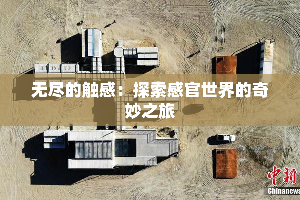 无尽的触感：探索感官世界的奇妙之旅