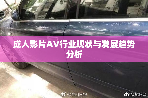 成人影片AV行业现状与发展趋势分析