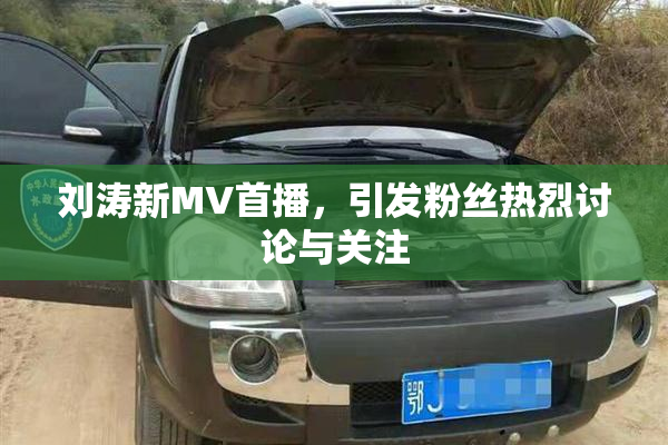 刘涛新MV首播，引发粉丝热烈讨论与关注
