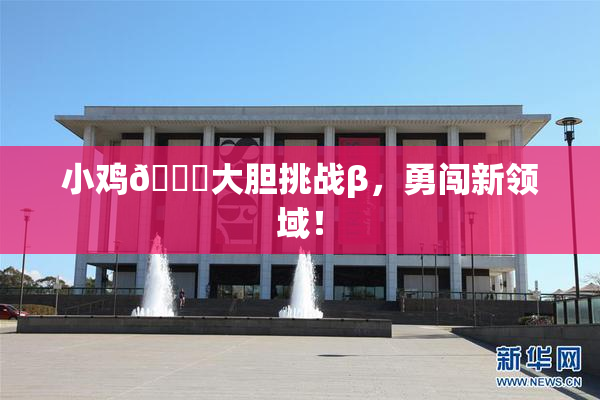 小鸡🐔大胆挑战β，勇闯新领域！