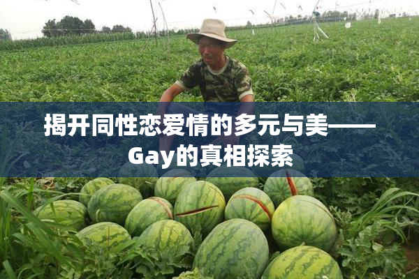 揭开同性恋爱情的多元与美——Gay的真相探索