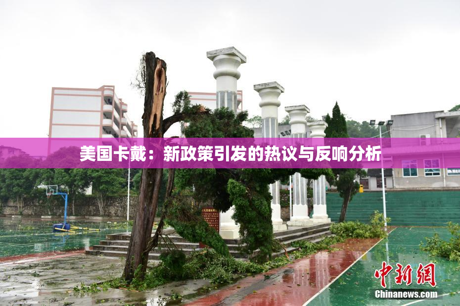 美国卡戴：新政策引发的热议与反响分析