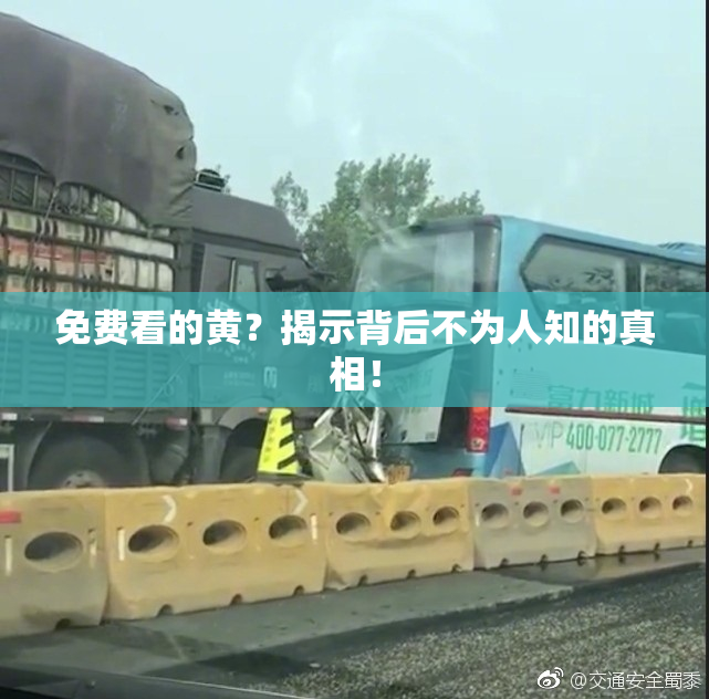 免费看的黄？揭示背后不为人知的真相！